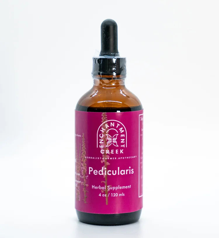 Headache Relief with Pedicularis
