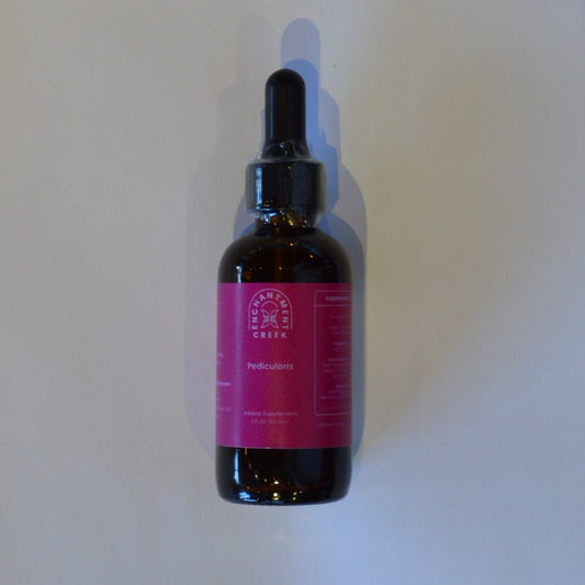 Headache Relief with Pedicularis